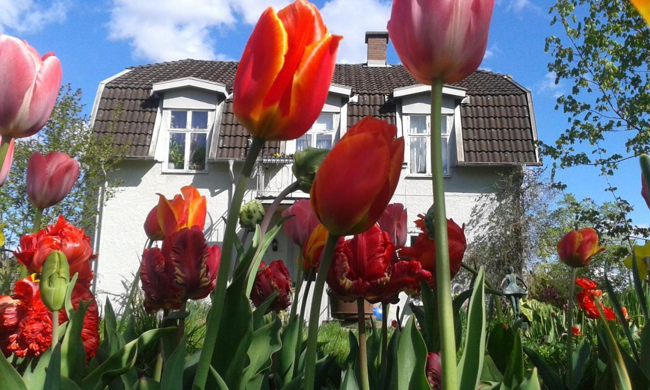 Wonderful Home Bodafors Exterior photo